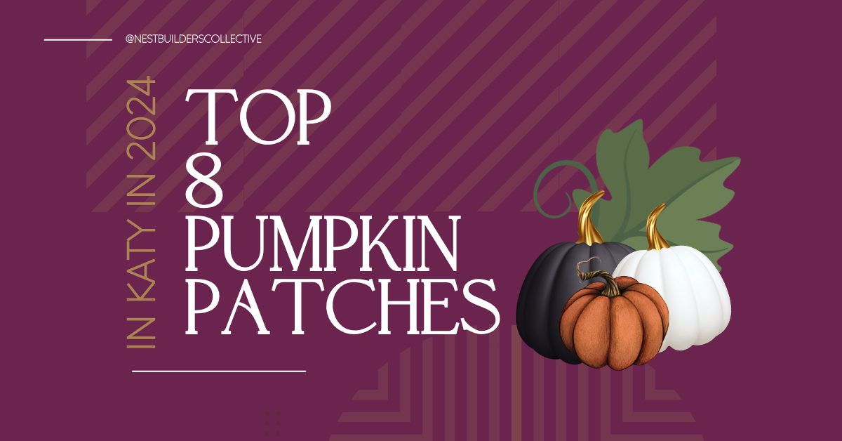 Top 8 Pumpkin Patches Near Katy, Texas